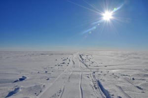 Schlittenspur Grönland