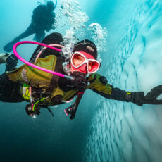 Das Programm des Arktischen Abends ist da!