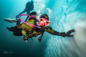 Das Programm des Arktischen Abends ist da! Das Programm des Arktischen Abends ist da!